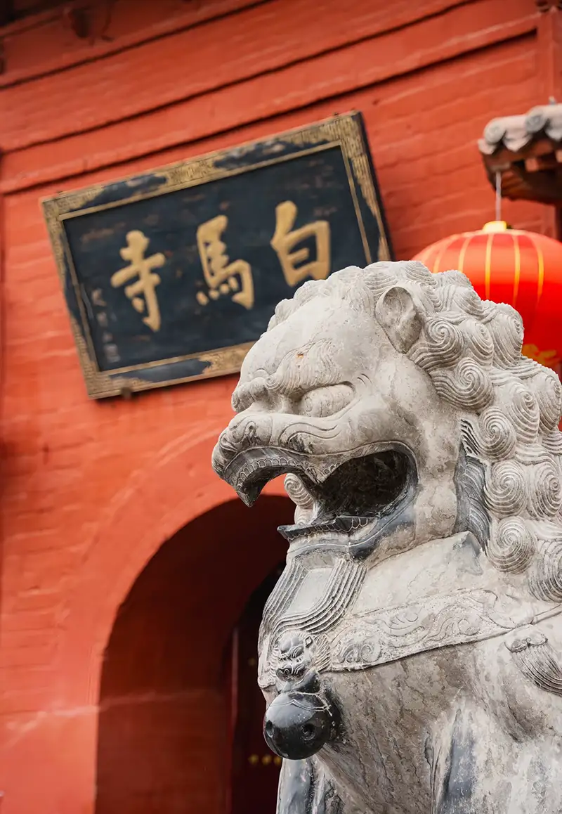 LuoYangBaiMaSi